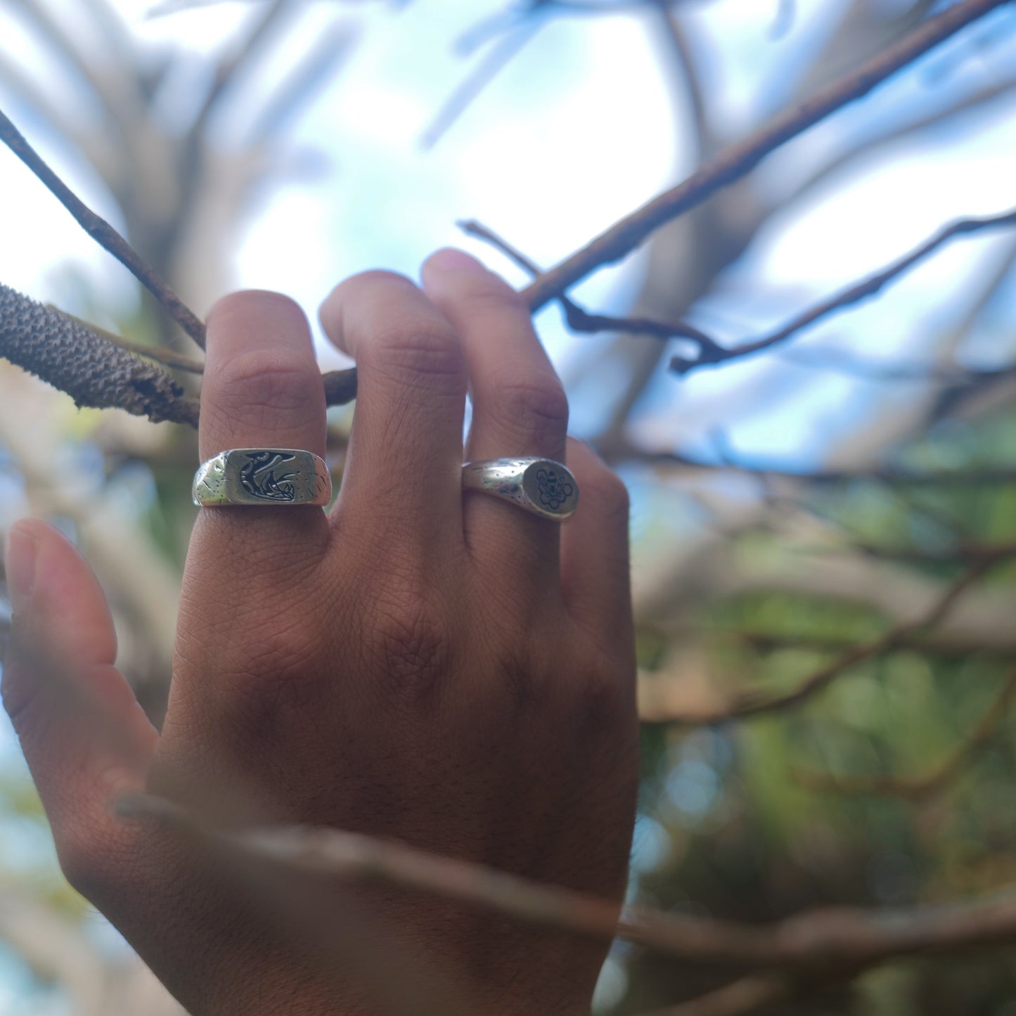 Man holding onto thin twig branches with right hand wearing serpent + bee rings.