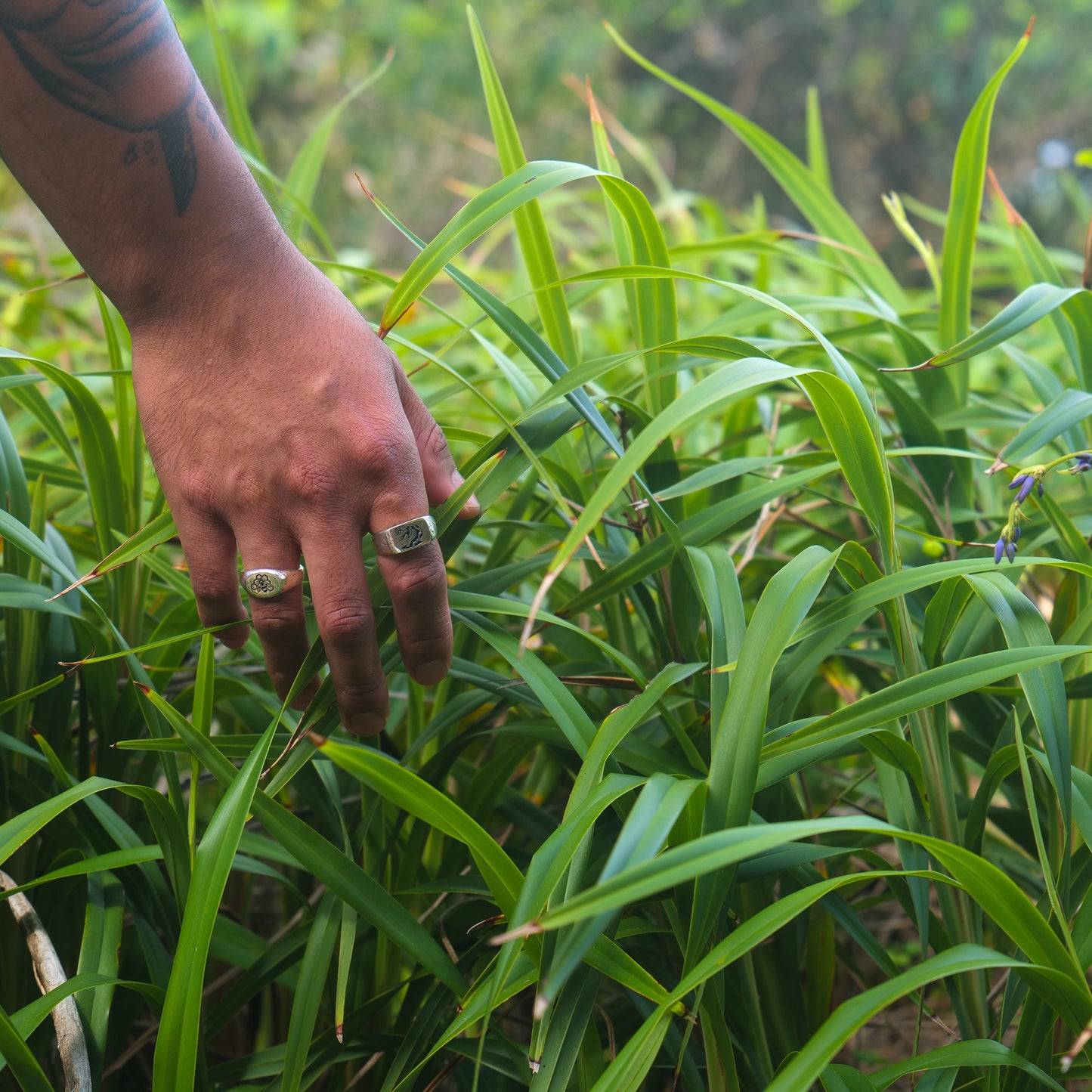 Man walking through long grass with hand out wearing serpent + bee rings.